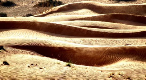 Dancing in the Desert